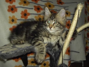 Calvin - male - n 22